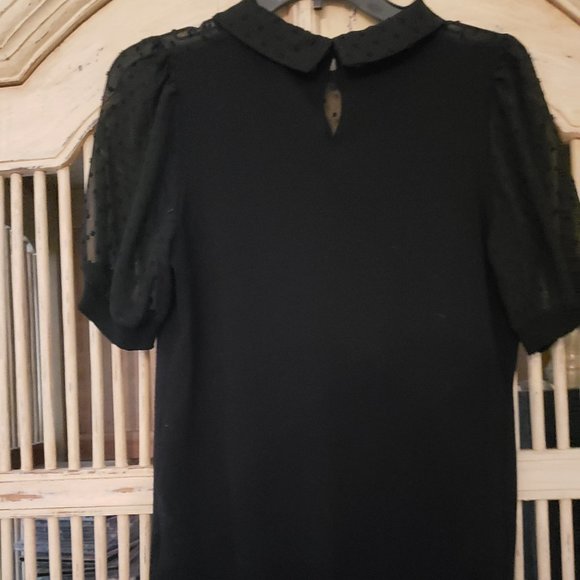 Adrianna Papell short sleeve knit sweater with sheer dot textured chiffon - Picture 10 of 16